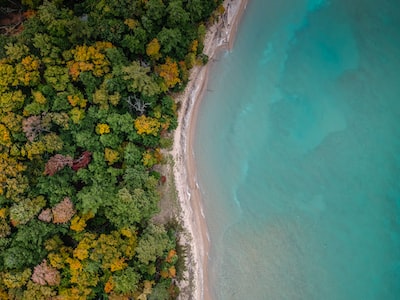 dreamernomad's tweet photo. 📌Traverse City, USA 📷@nipez #nature #hourlyNature #nomaddream #wonderlust #travel https://t.co/FIHoe6kvbY