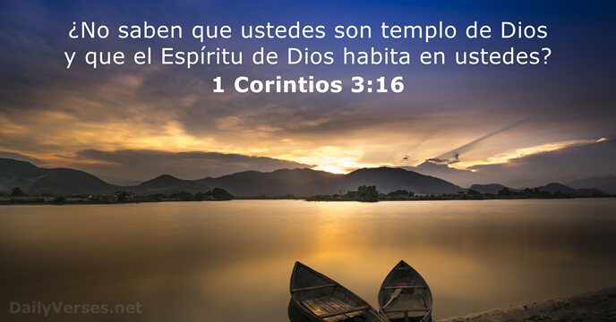 DailyVerses_es's tweet photo. 1 Corintios 3:16 - https://t.co/H5q7GPujqt https://t.co/E8rOnK8kS7