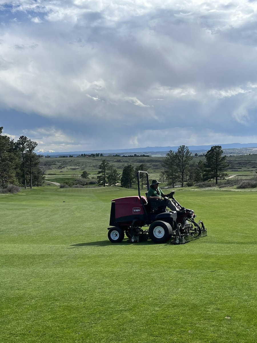 Tuesday afternoon dry cut on fairways and approaches 💯