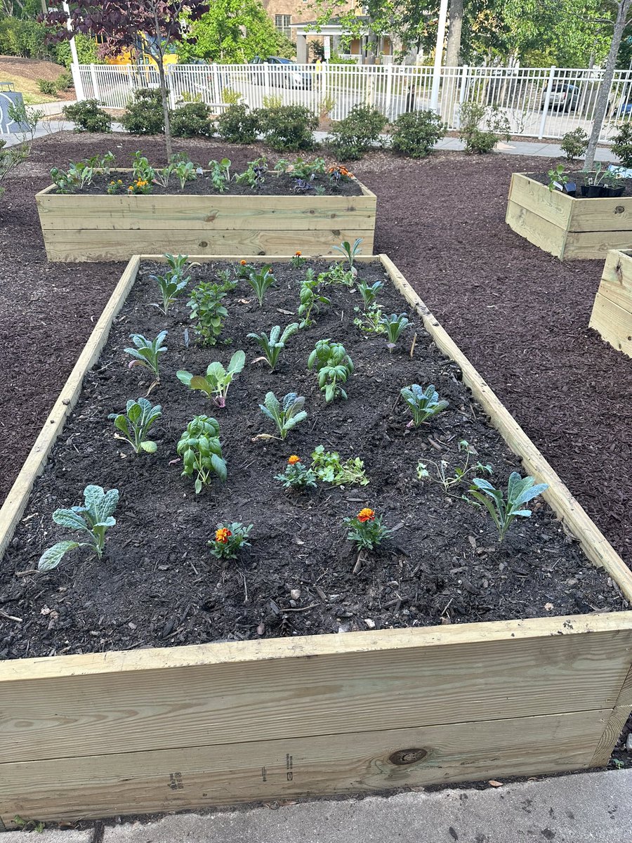 wileyelementary's tweet photo. #GoodnessGrows @WileyPTA !!! Farm…errrr…school to table is like nothing else! #UNSDGs #TakeAction https://t.co/GjOJ02NUcM