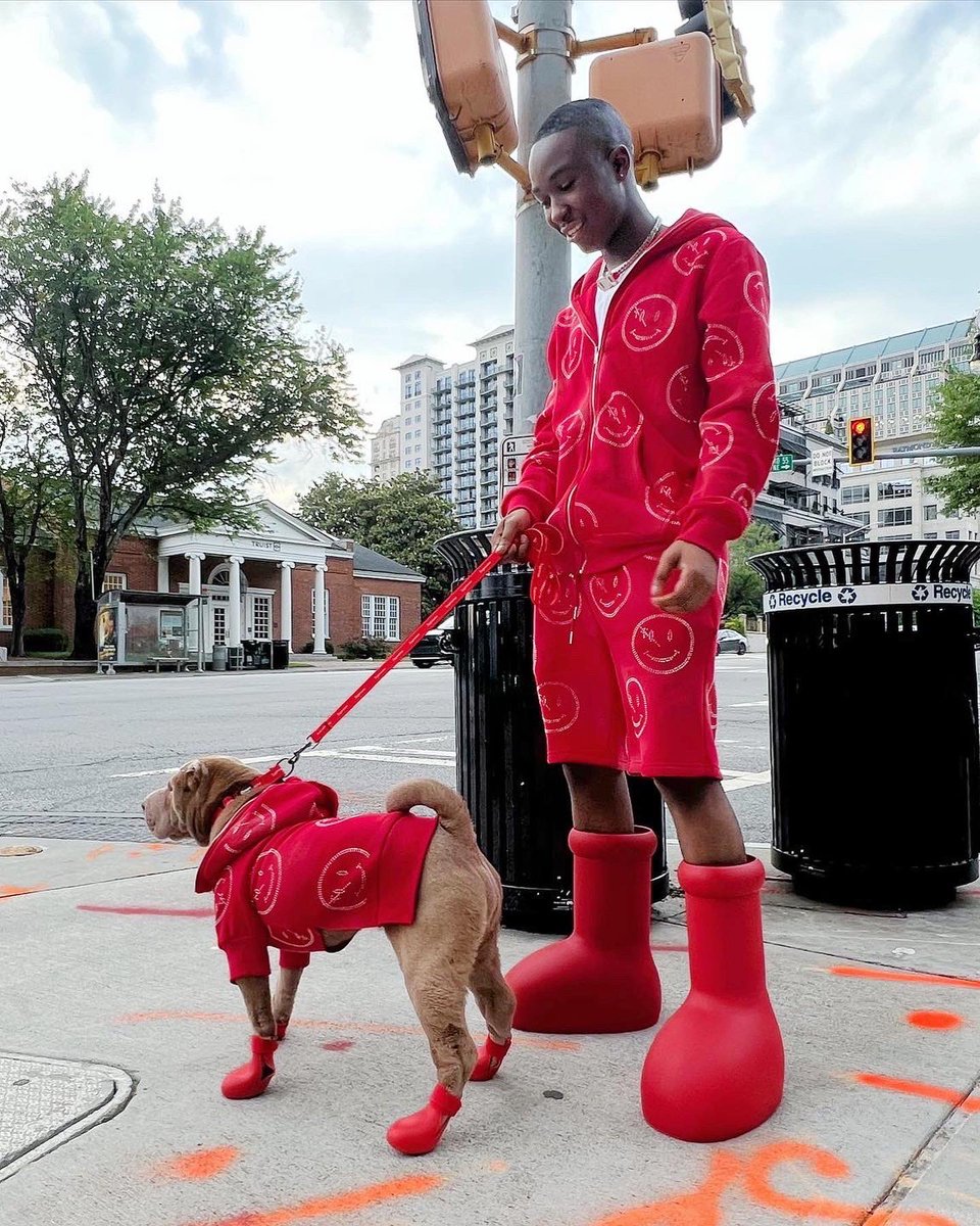 Bryce ⚡️ tweet media