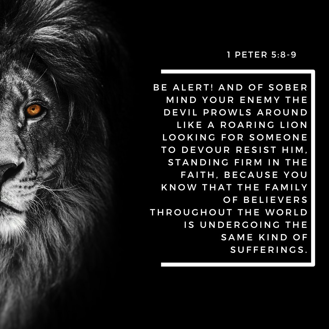 #StayVigilant: Defying the Roaring Lion with Unwavering Faith and Unity. 🦁🔒 #StandStrongTogether #chesterbrookumc #bibleapp