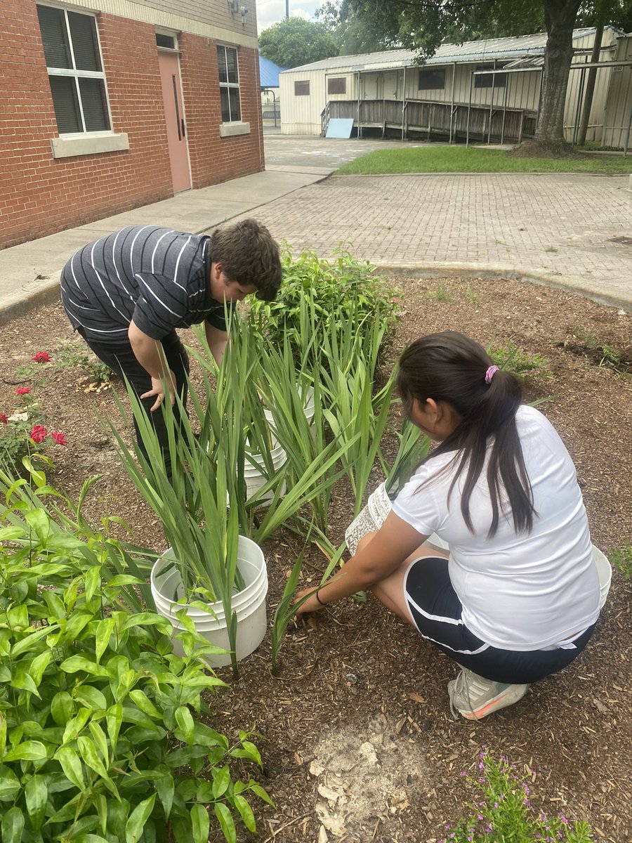 Julieta Ortiz tweet media