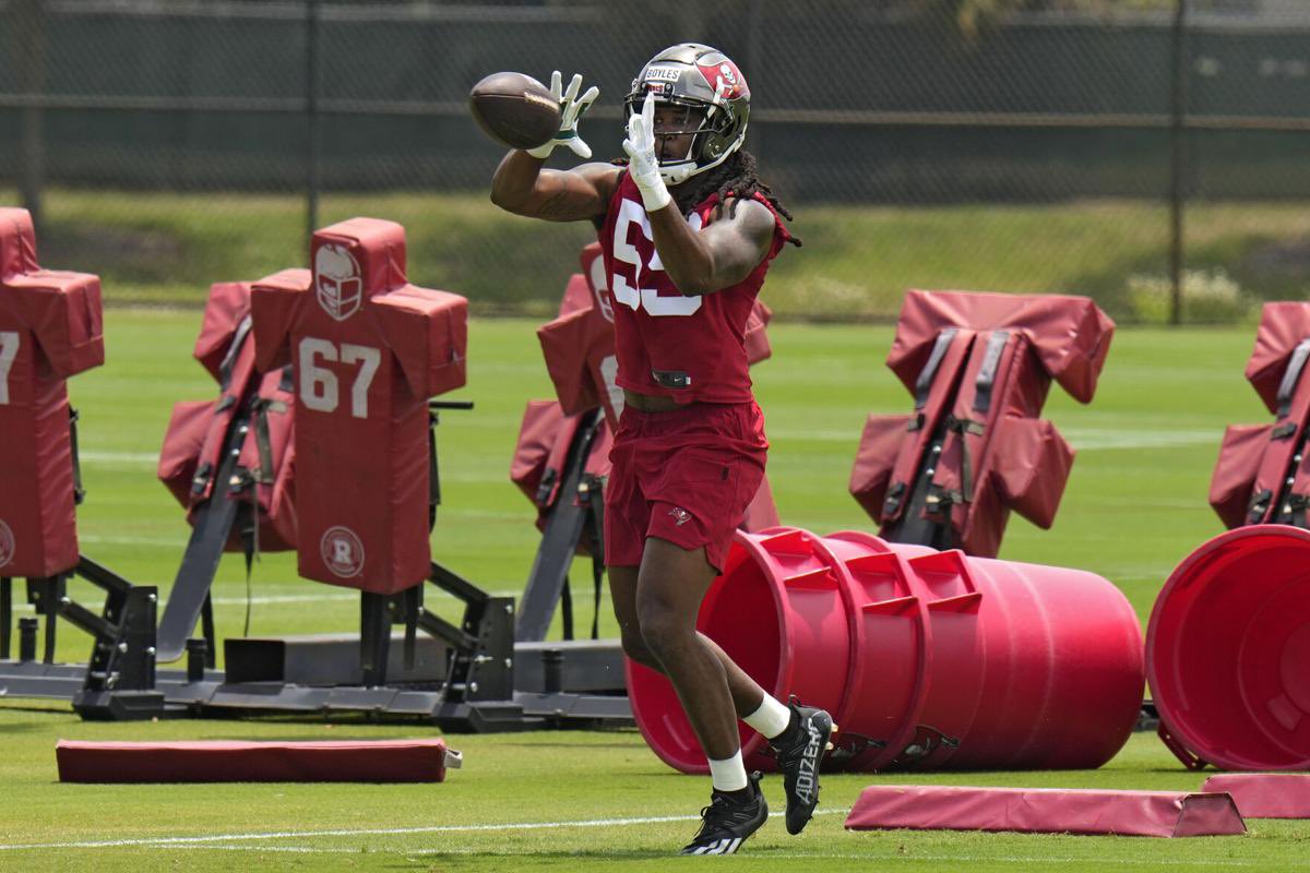 NFL Rookie Watch on X: 2018 LB Draft Class: 8. Roquan Smith: 639 tackles  16. Tremaine Edmunds: 534 tackles 19. Leighton Vander Esch: 425 tackles 22.  Rashaan Evans: 451 tackles 36. Shaquille