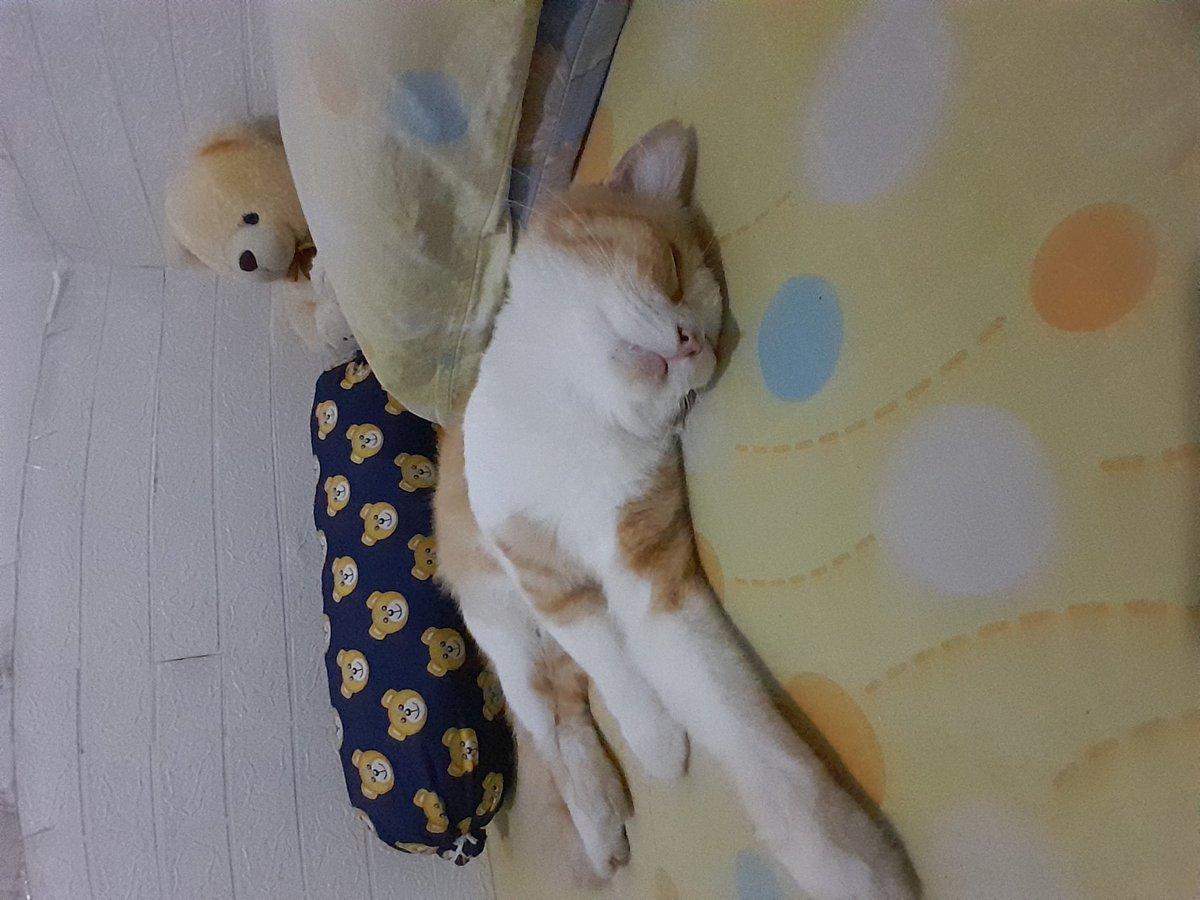 anak hasil taun baruan tweet media