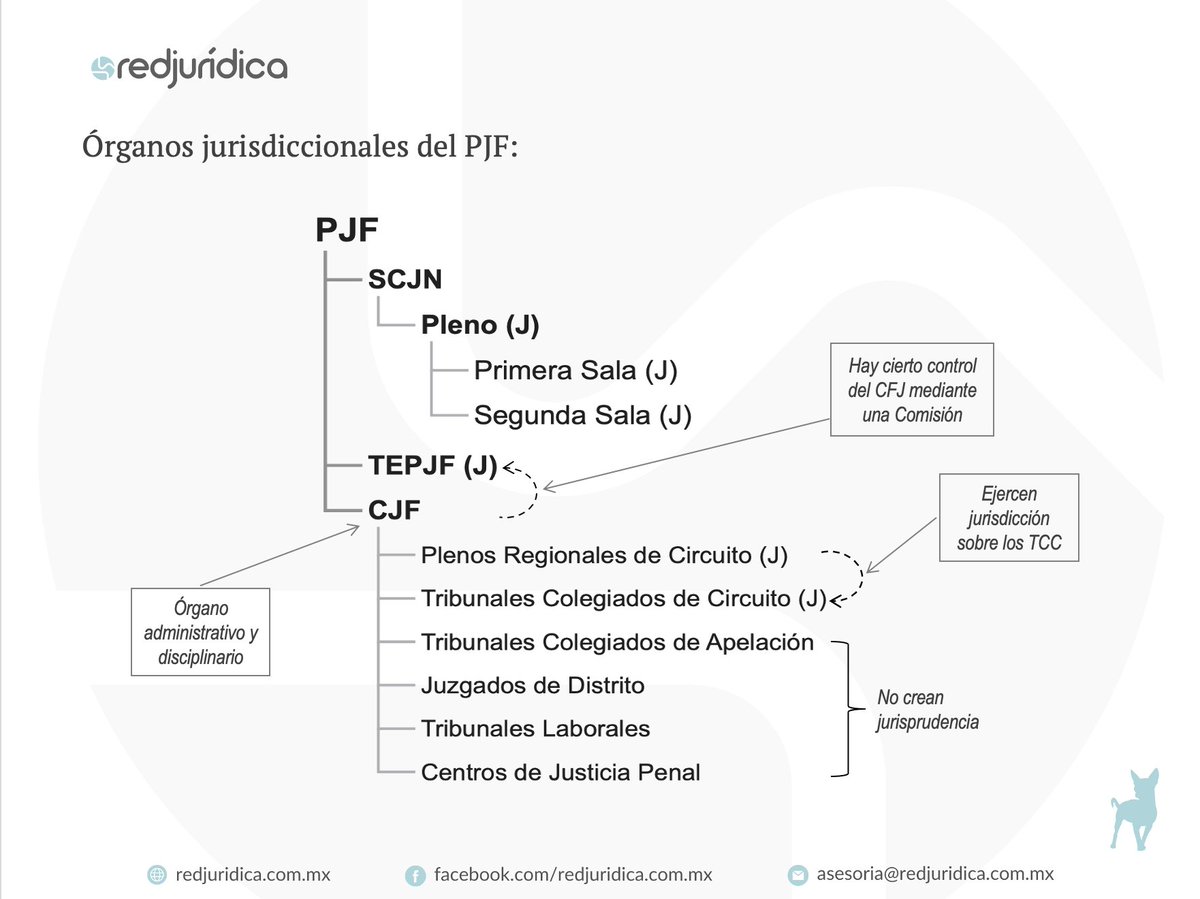 DerechoGrafico's tweet photo. 📌Volvemos a compartir este esquema de los órganos jurisdiccionales del PJF.🤗 https://t.co/Ivg0Lp3Xd9