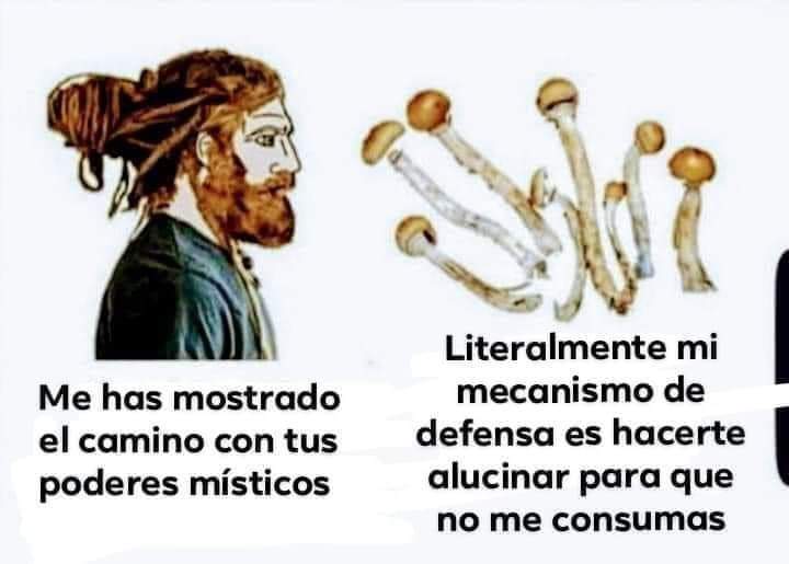 Lo Sinson (@notafaso) on Twitter photo 