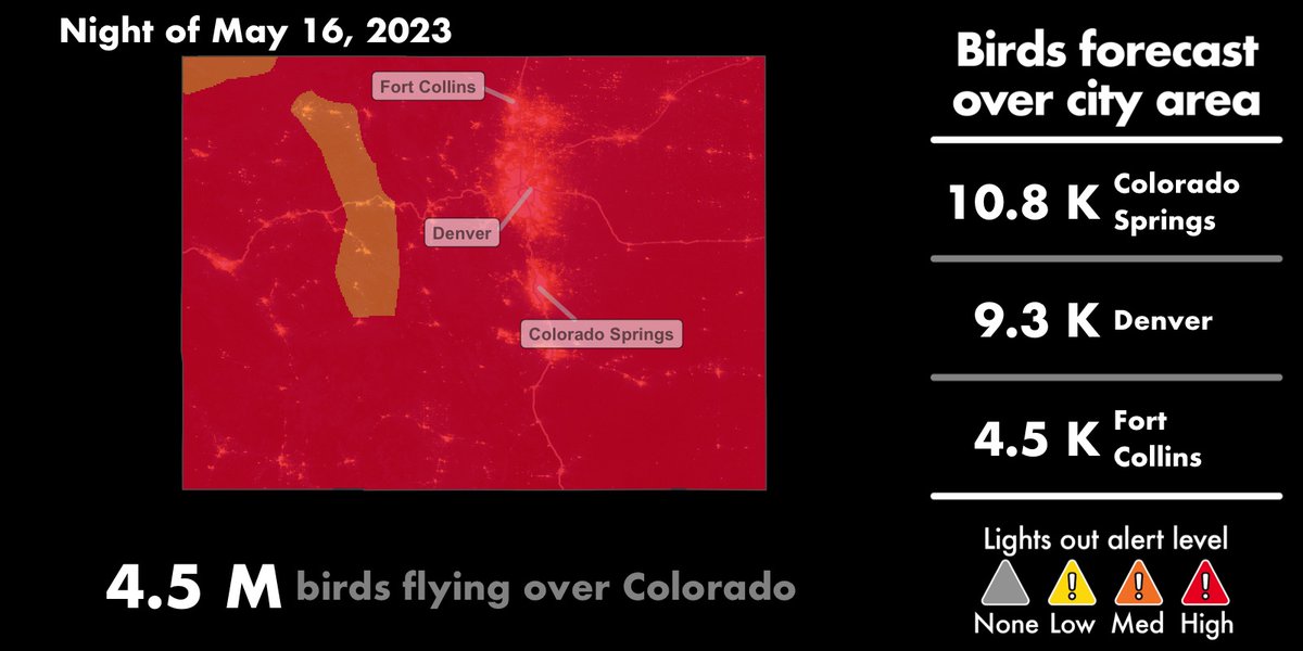 Denver Audubon tweet media