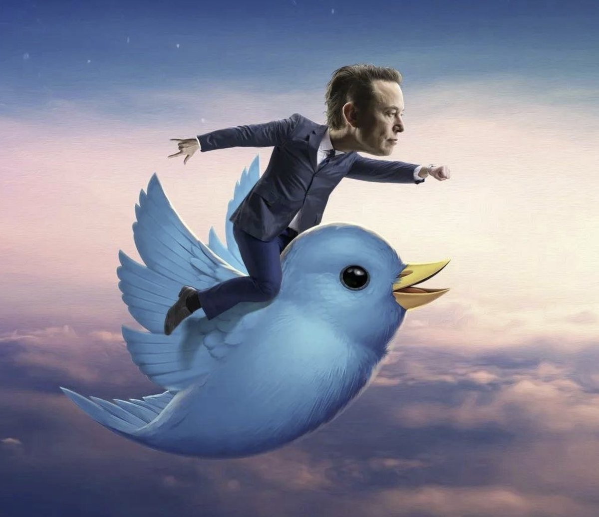 $LARRY IS LIVE!  

Remember the blue twitter bird?  

Now available on #pinksale and still trending!!  

How to buy👇 pinksale.finance/launchpad/0x9f…

#memecoin #memecoinseason #PEPE #BOB #Crypto