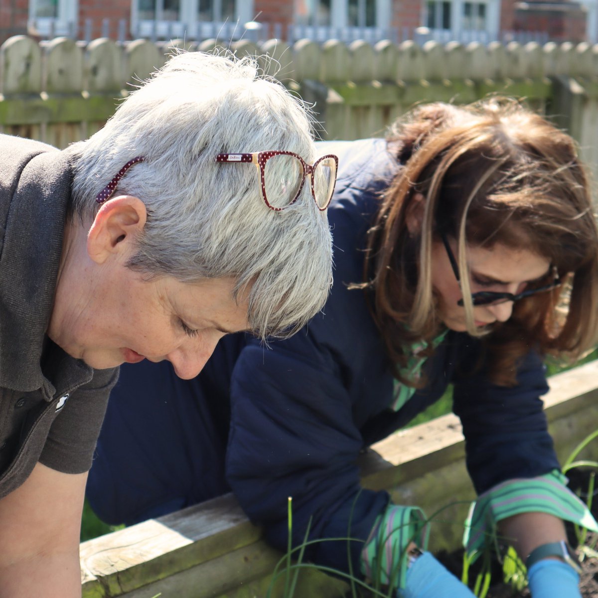 "𝗪𝗲 𝗮𝗿𝗲 𝗮 𝘀𝗲𝗲𝗱 𝗽𝗮𝘁𝗶𝗲𝗻𝘁𝗹𝘆 𝘄𝗮𝗶𝘁𝗶𝗻𝗴 𝗶𝗻 𝘁𝗵𝗲 𝗲𝗮𝗿𝘁𝗵"
-C.S. Lewis

Join us on Friday for our weekly Grow &amp; Share session from 3pm-4pm! Stay and chat for a while, we do love the company 💚

Thank you <a href="/UlsterWildlife/">Ulster Wildlife</a>!

#Growth #Community #Gardening