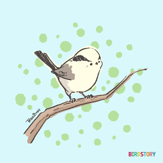 おはようございます。 本日は5月17日。 5月10日から5月16日までの愛鳥週間が終わりとなりました 今日から改めて野鳥さんとの出会いを楽しんでいきたいと思います #BIRDSTORY #愛鳥週間 #エナガ