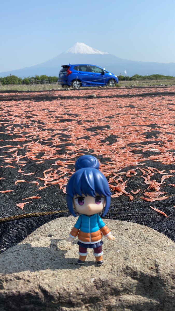 さくらえびページ ニュースリリース 『かっぱえびせん 桜えび』 ｜ カルビー株式会社