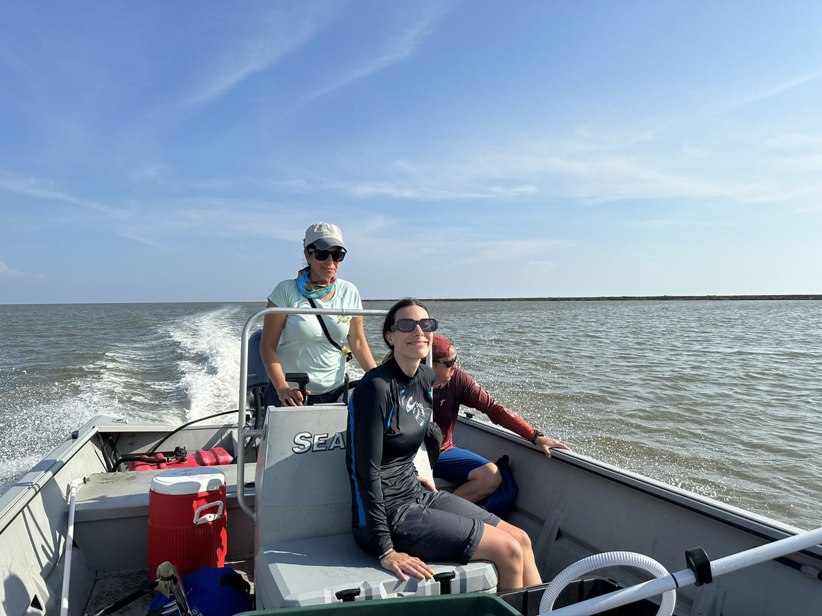 Bret Webb tweet media