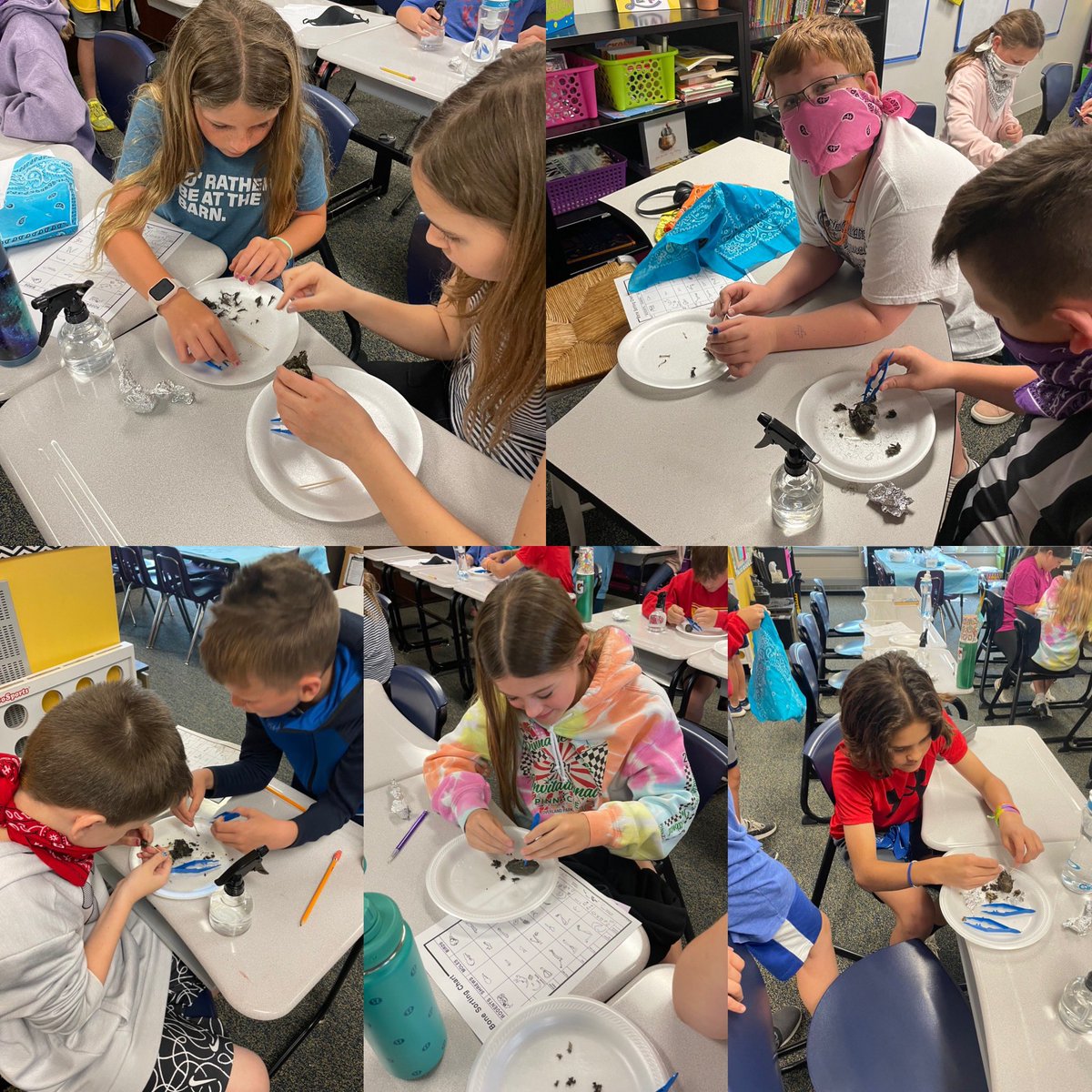 5th grader’s dissected owl pellets today as part of their learning expedition week. #BEBulldogs #usd232