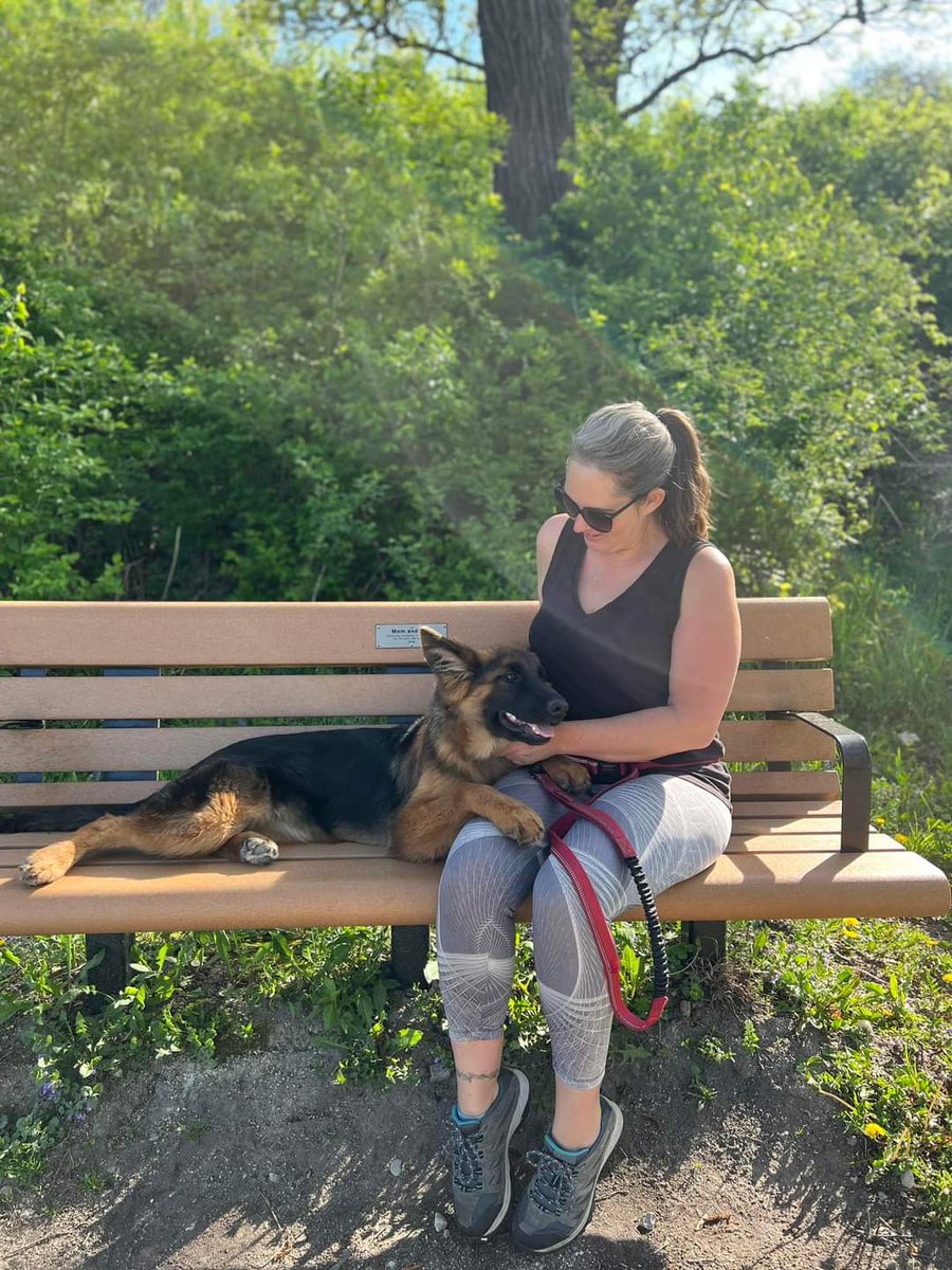 herzog_german's tweet photo. It was a beautiful day for a hike with Natalie! ❤️ She’s an incredible girl and will make the perfect addition to the right home. ❤️❤️
Natalie is crate and potty trained, does very well on the leash, and has good manners in the house.
#herzoggsd #goodnap #natalie #germanshepherd https://t.co/Z7wHcJVpcZ