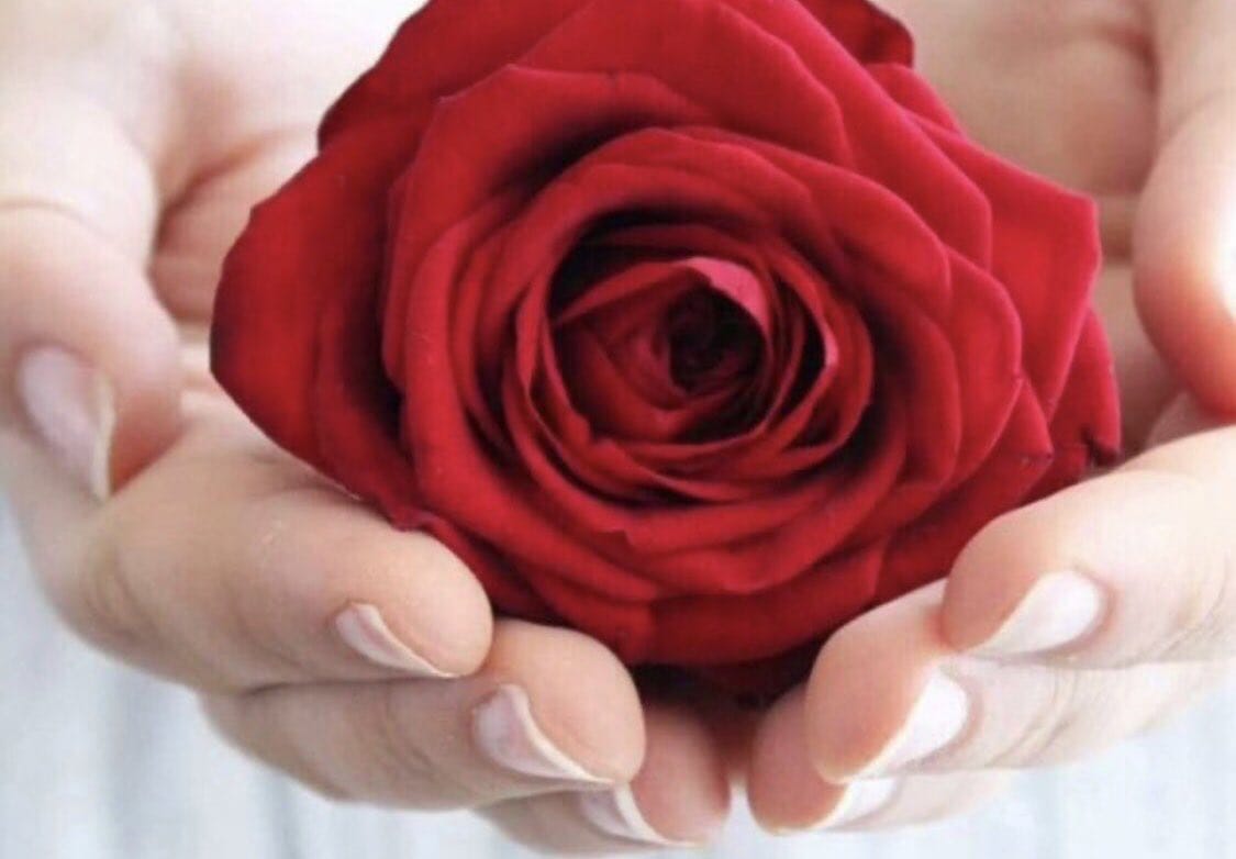 Bu sabah insanlığın vijdanin merhametin değerini bilen herkes için muhteşem olsun sevgiler günaydın canlarım