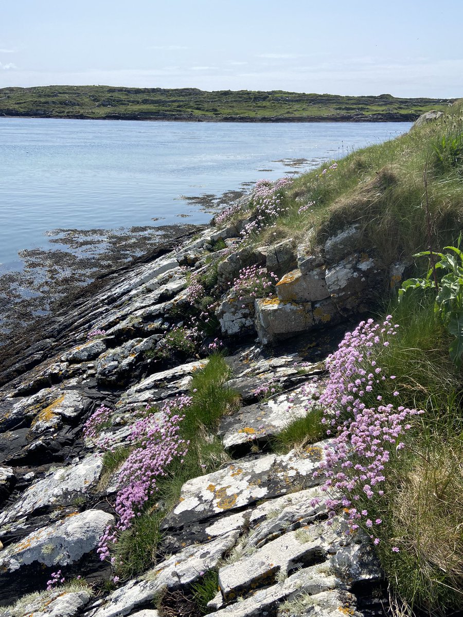 ClifdenCampsite tweet picture