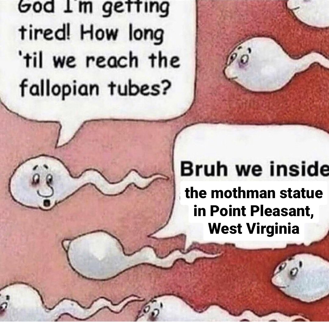 Cryptid Posting tweet media