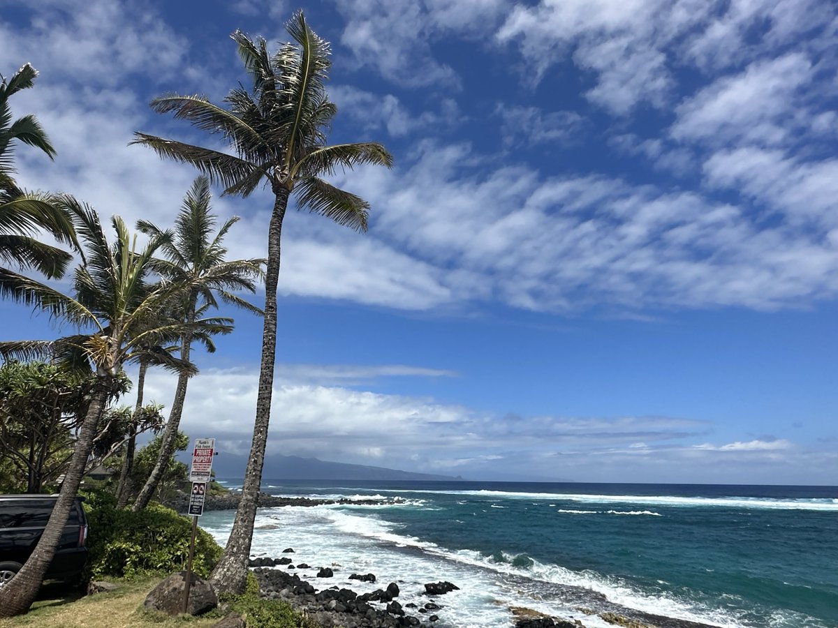 salted rim tweet media