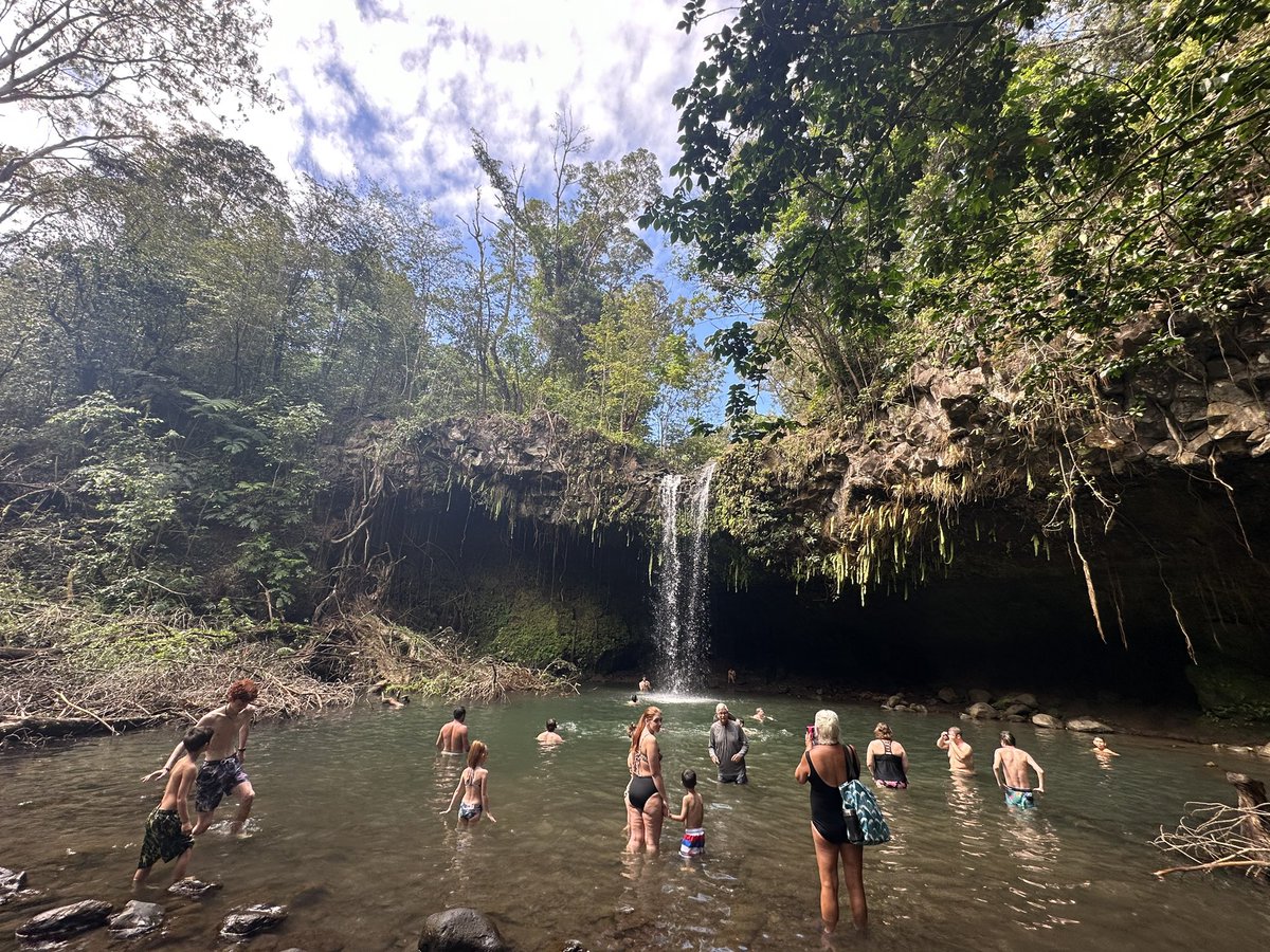 salted rim tweet media