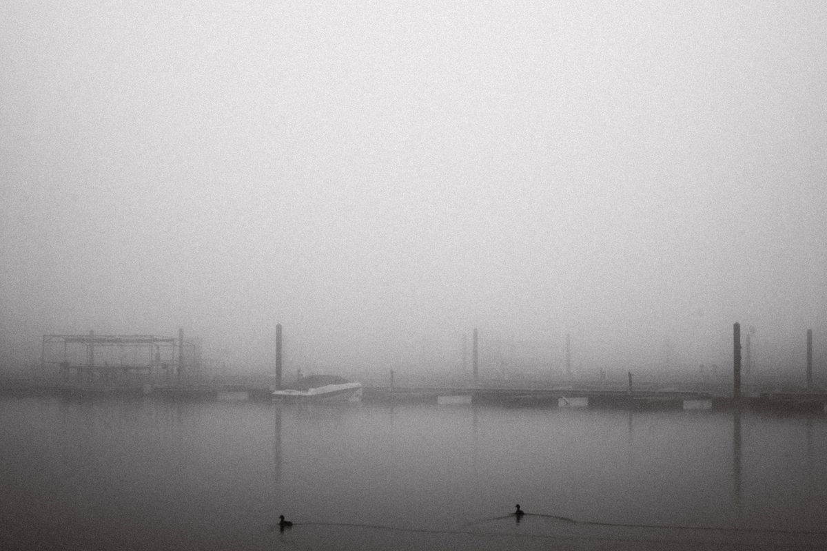 the day the fog never left