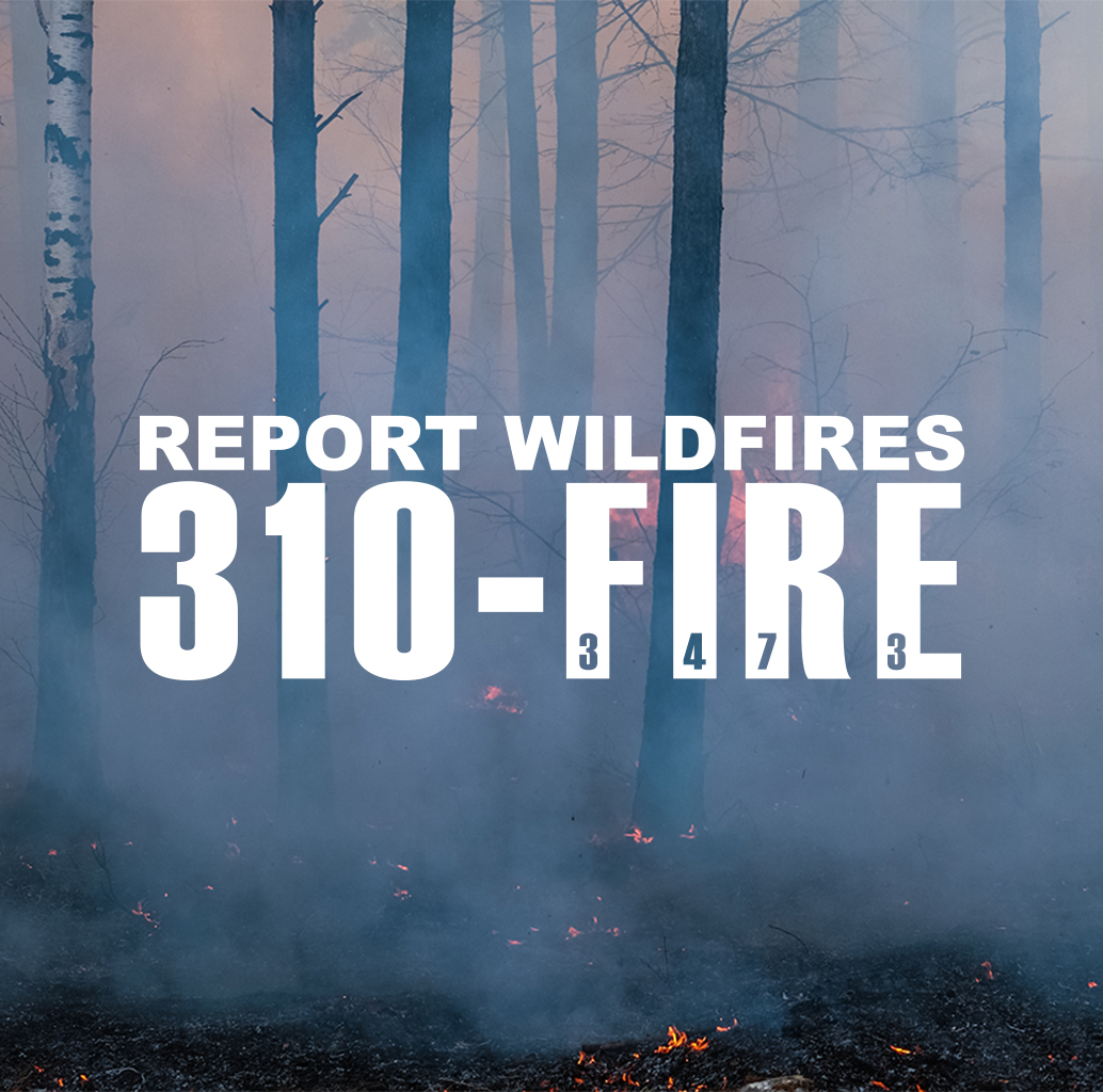 AlbertaWildfire's tweet image. Our 310-FIRE line operators have been busy! This month alone we have received over 800 phone calls. Thank you to everyone who has reported wildfires, your diligence helps us respond quickly to new wildfires. Remember, if you see suspicious smoke or fire in the forest, report it!
