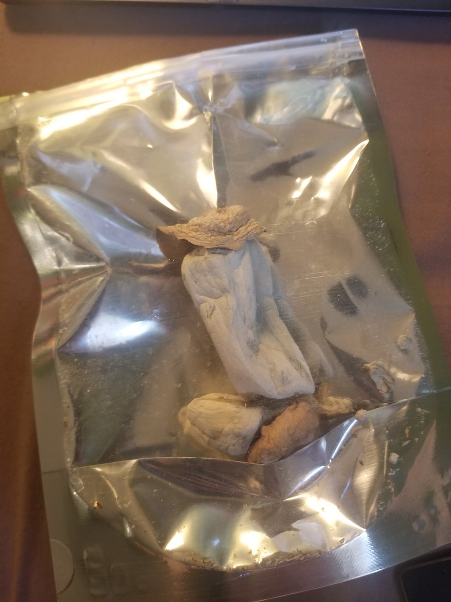 fragiledoll_'s tweet photo. omad is magic mushrooms 😎 https://t.co/aQyyGnbcsK