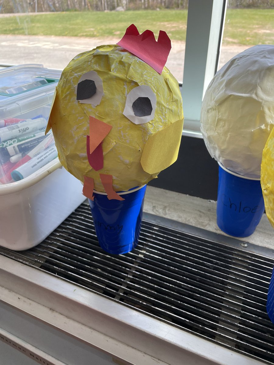 mrsbowesteaches's tweet photo. Part 3: We glued on our construction paper body parts to our paper mache. We finally have brought our chicks to life. Stay tuned for the final reveal of all the chickens in the coop! #papermache #labelling #lifecycle #chickenweek https://t.co/NNriSjtYOB