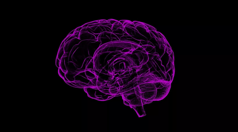 VTVcanal8's tweet photo. Mutación cerebral protege a un hombre de sufrir alzheimer a temprana edad 

#17May 

https://t.co/RY32ZZYH3c https://t.co/GvvgxWm3CX