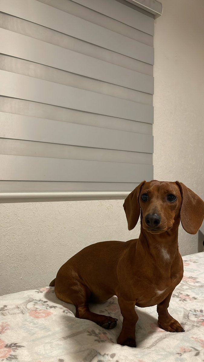 <a href="/SofiaErro/">Sofia Erro</a> La ramoncitaaa