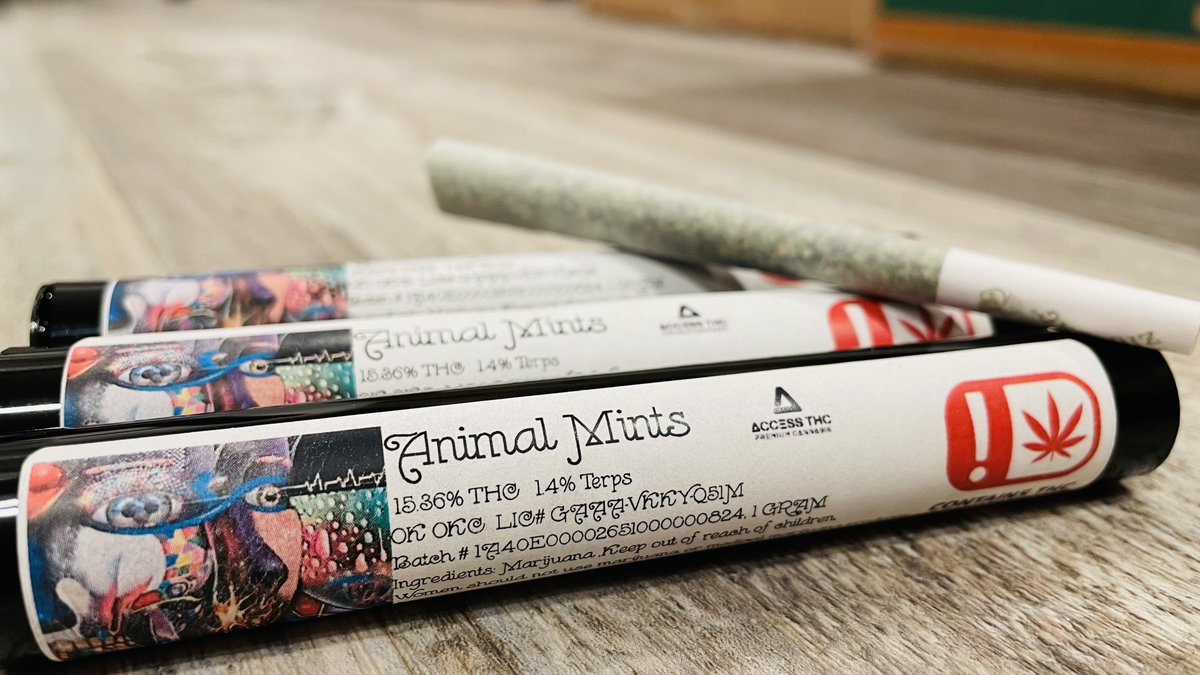 AccessTHC's tweet image. Prerollin' through life!!✌️💨
Let's be honest, it's been a helluva week!! ..and it's only Tuesday!!🤣🤣
Headzone Dispensary 
NOW OPEN!!
4001 Tinker Diagonal | Del City, OK
20% OFF FIRST TIME PATIENT!!
FREE PREROLL FOR FIRST TIME FLOWER BUYERS!!
#SeeYouSoon #Cannabis