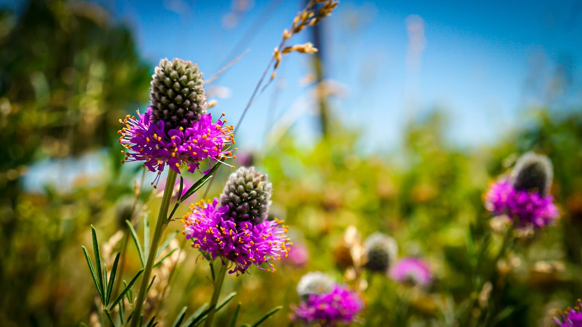 New town every hour on Twitter "Hutchinson, Minnesota Population