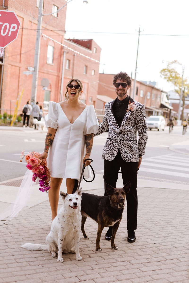 nataleighb's tweet photo. 💒 Real #Loveshacktoronto Wedding 💒 C+M get married on Ossington!!
#altwedding #microwedding #torontoeventplanner https://t.co/JjKR62dbDX