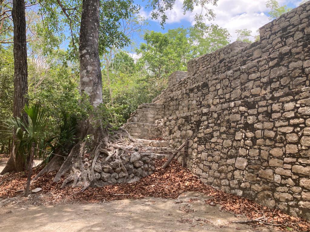 Some amazing Mayan ruins in #Cobá, Mexico 🇲🇽…the trees aren’t that bad either! Interesting connections between #culture, #heritage and #nature, all enhancing one another