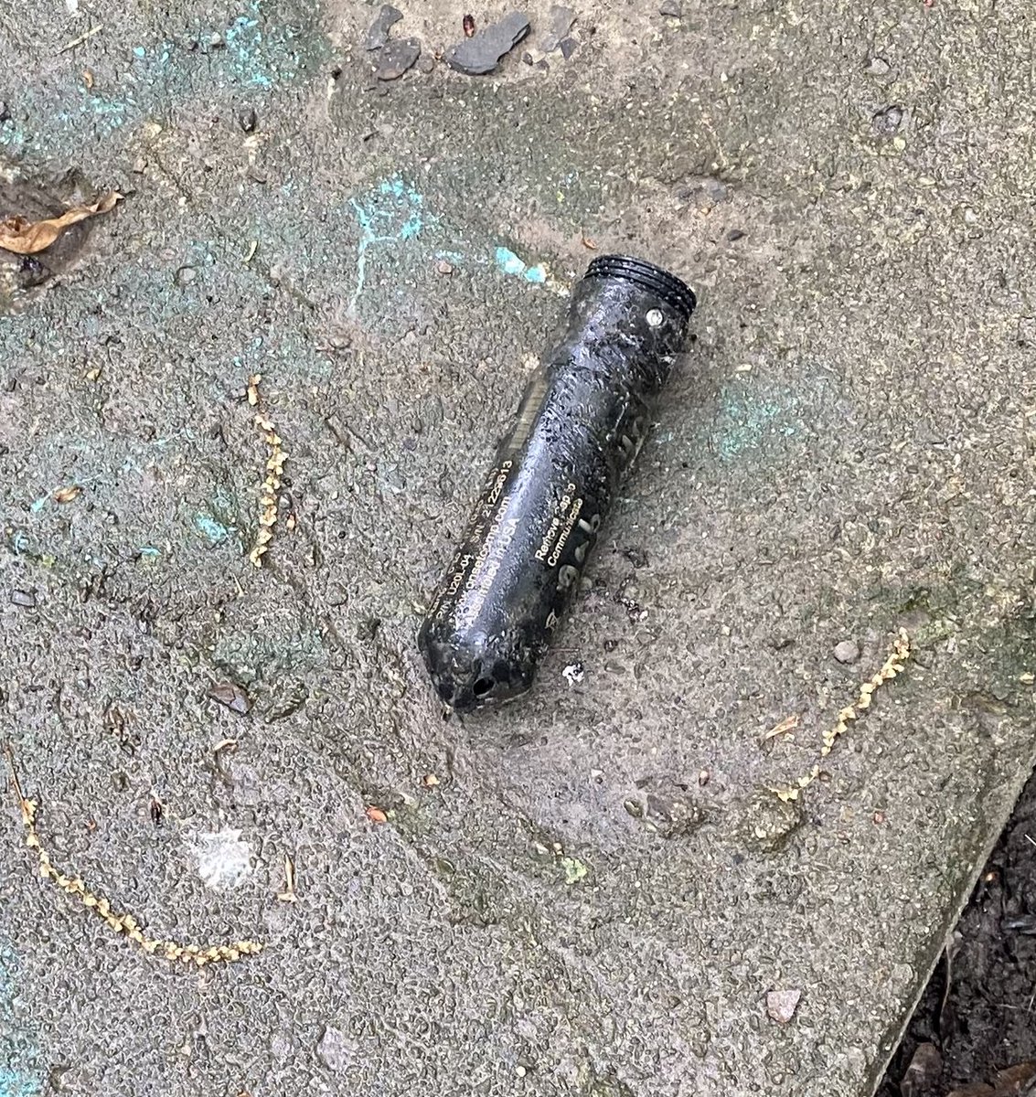 Rachel Gabor tweet media