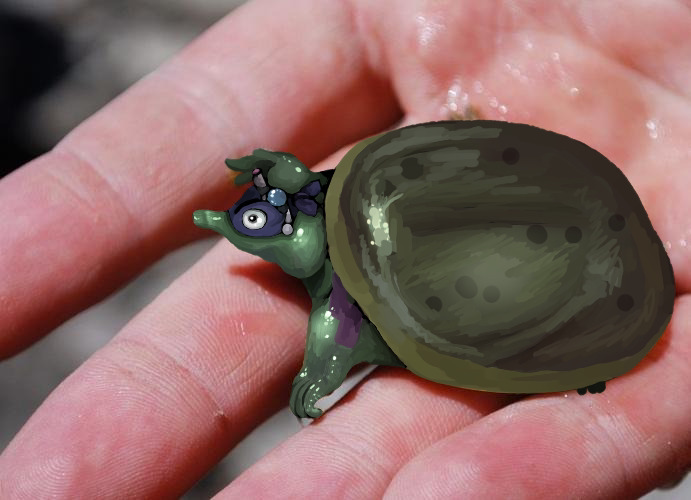 tortoisehells tweet picture