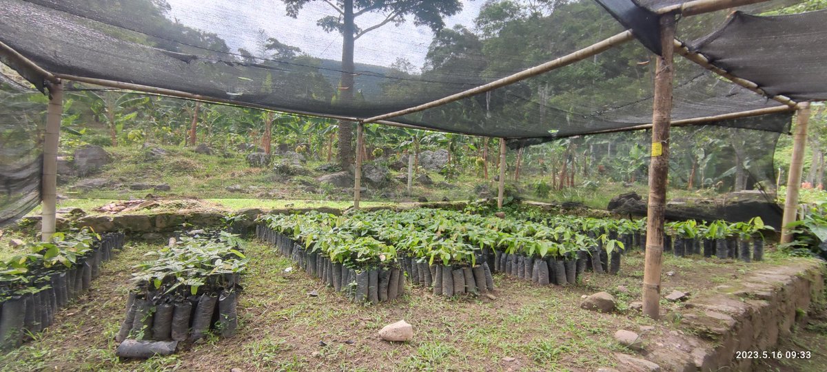 CRCNorte's tweet photo. #16mayo Para continuar Promocionando Norte de Santander como destino turístico diferenciador, se necesita articulación de la oferta productiva de los demás  sectores (1/2)

#cluster
#fortalecimientoempresarial 
#agroturismo https://t.co/3AxwEaNQnc