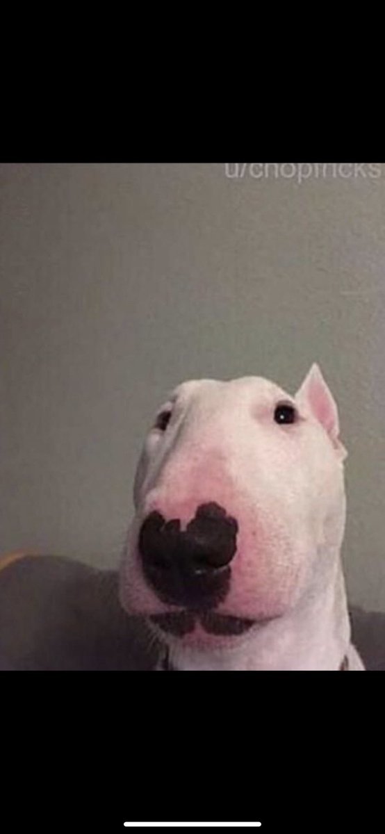 DefinetlyNotCam's tweet image. Today I turned 22. I asked god for forgiveness for all that I have done, and then I remembered that mf dont exist. Inshallah brothers and sisters.