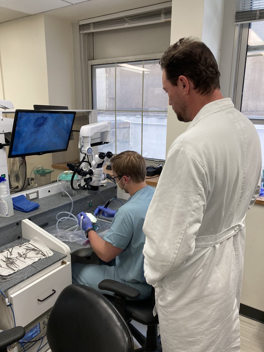TedImbEARy's tweet photo. Some nice facial recess specimens tonight in #temporalbone lab with @GluthMichael @maxhemmrich @auger_sam @UChicagoOHNS #otology #ENT #TheEar https://t.co/xdBG9HaY4h