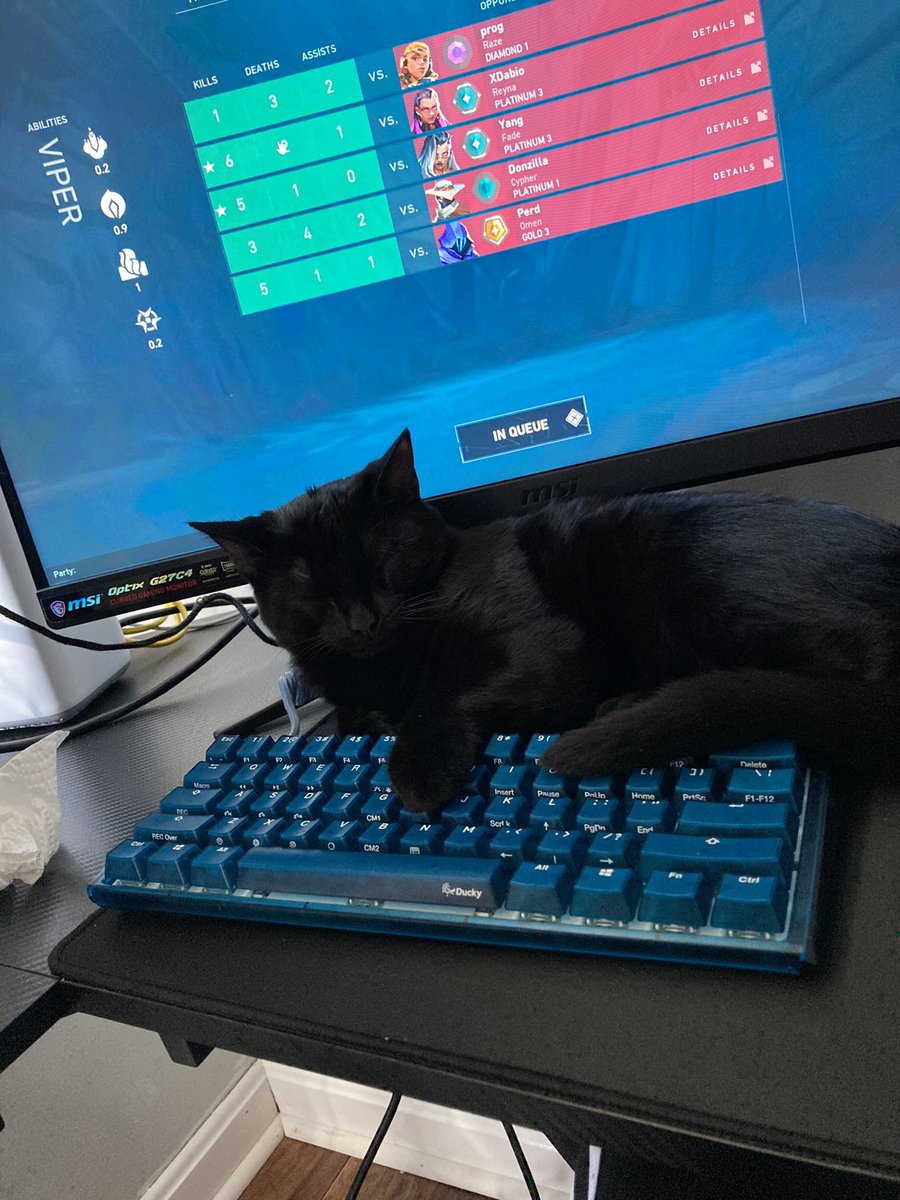 Ricesaur_'s tweet photo. @NRGgg @Alex__Atkinson https://t.co/UP7BIcCkc5