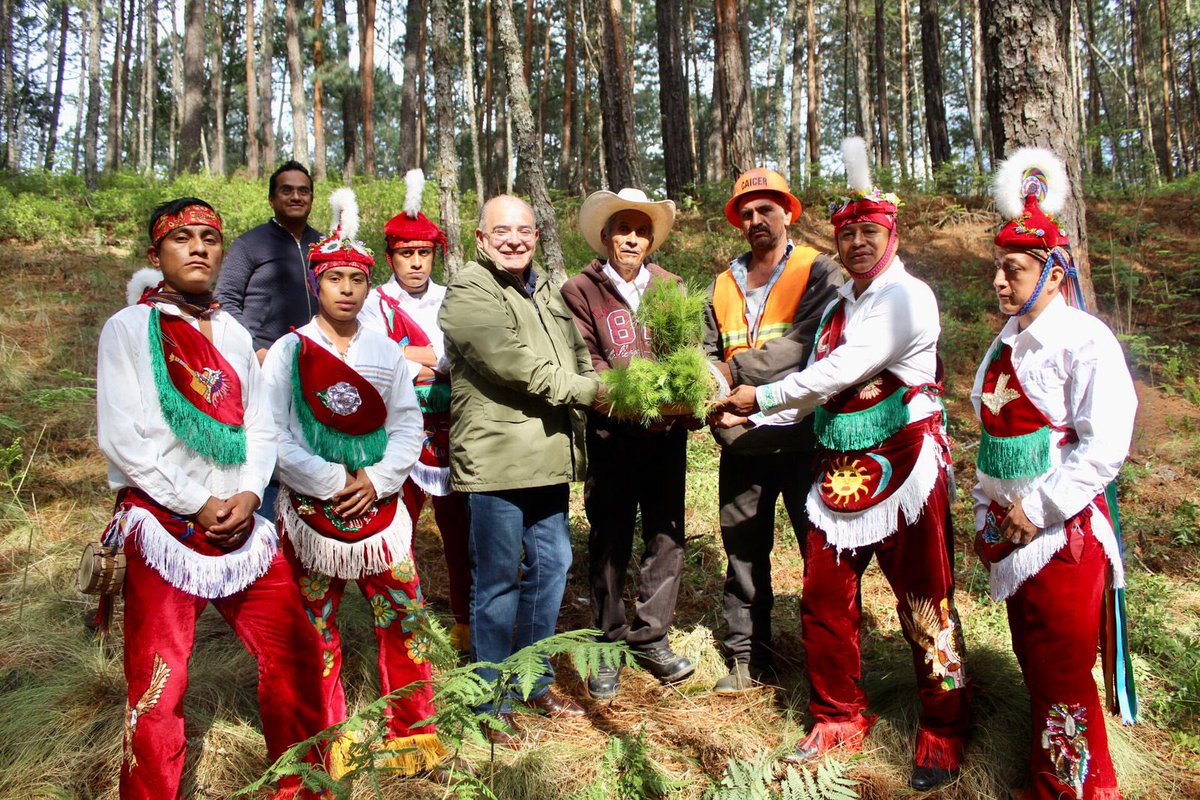 pepemarquezm's tweet photo. Fue para mi un gran honor acompañar al Grupo Okichpipil del #PuebloMágico de #Cuetzalan a la ceremonia ancestral para el corte de lo que será el “palo volador”, agradezco su entusiasmo y disposición para estar presentes en nuestro #FestivalMulticultural 🌸🎉 https://t.co/DpjjNFrLCn