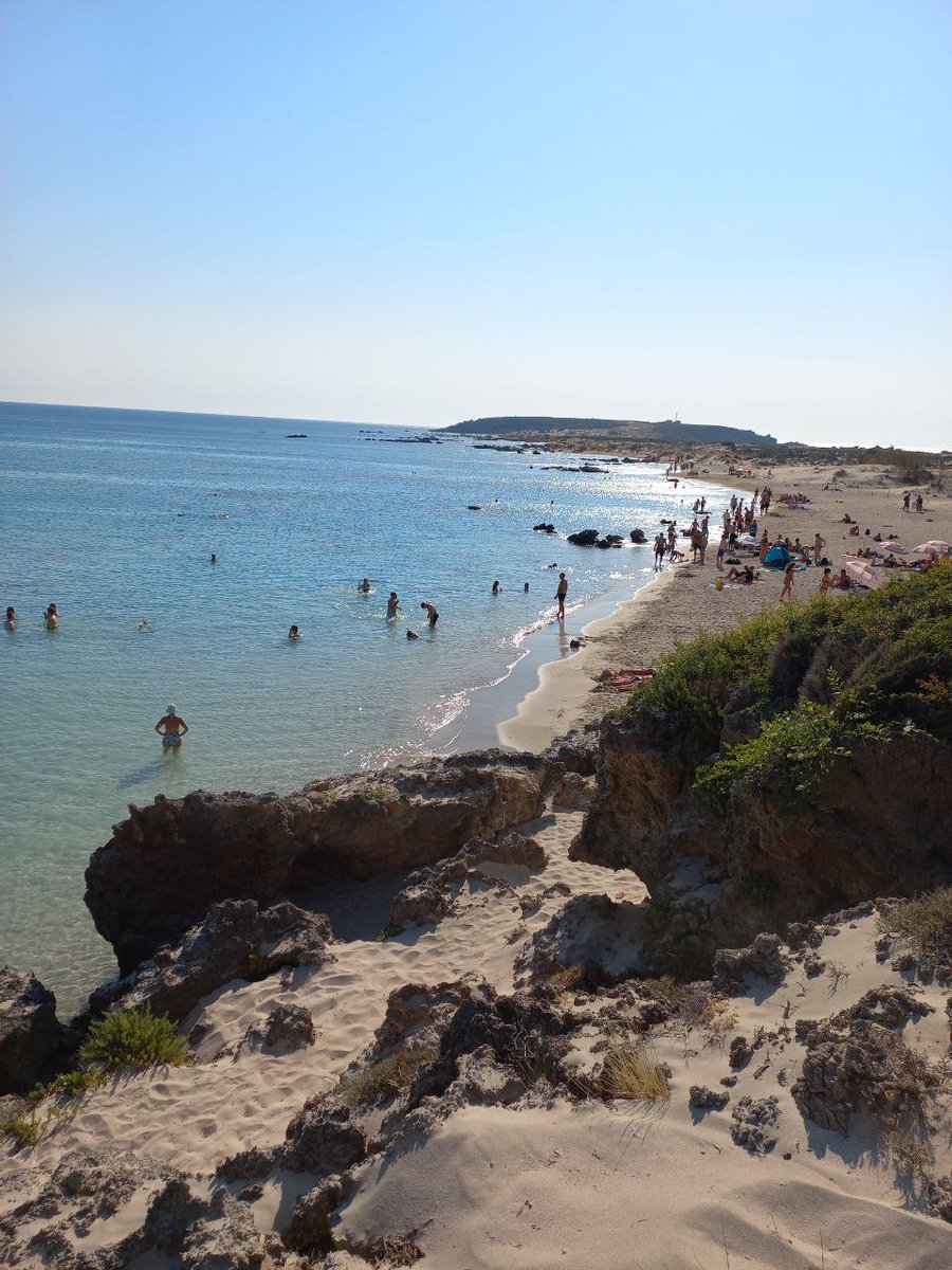 Gm crypto family ☕🌼

here's my beautiful pitchfork to the beach, while relaxing