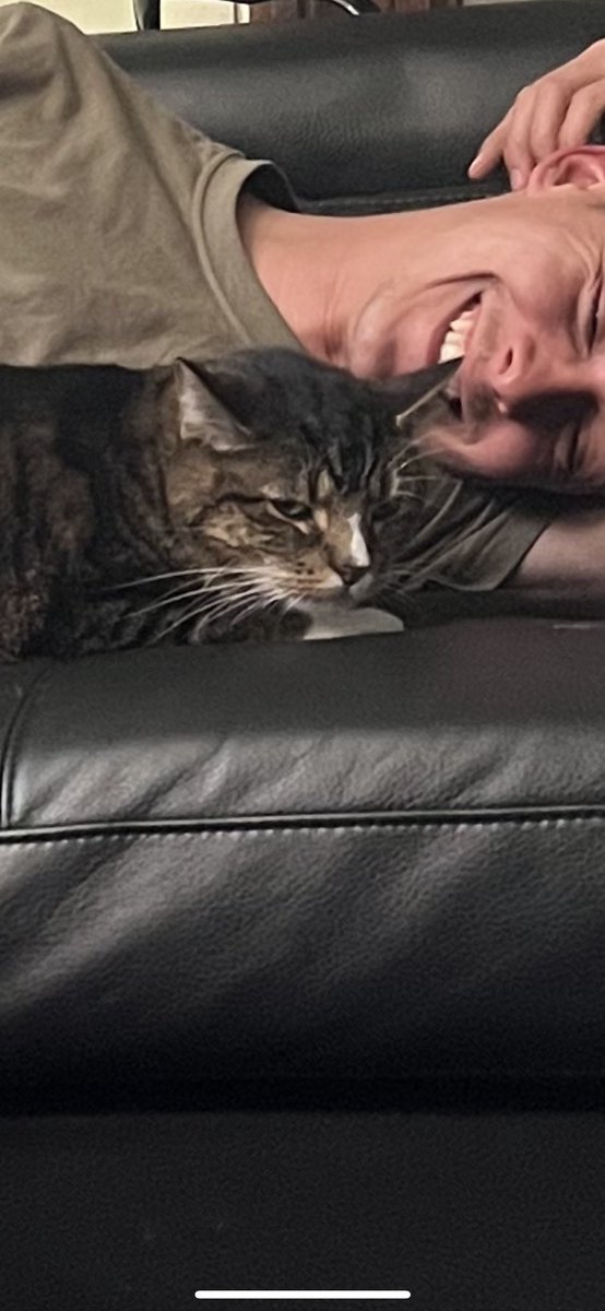 ok_LEMJ's tweet photo. Taylor: Look he’s cuddling with me!
Me: No he isn’t, he’s being held hostage!
Taylor: No!!! He loves this!
Rigby: https://t.co/CNlOp5OtUP