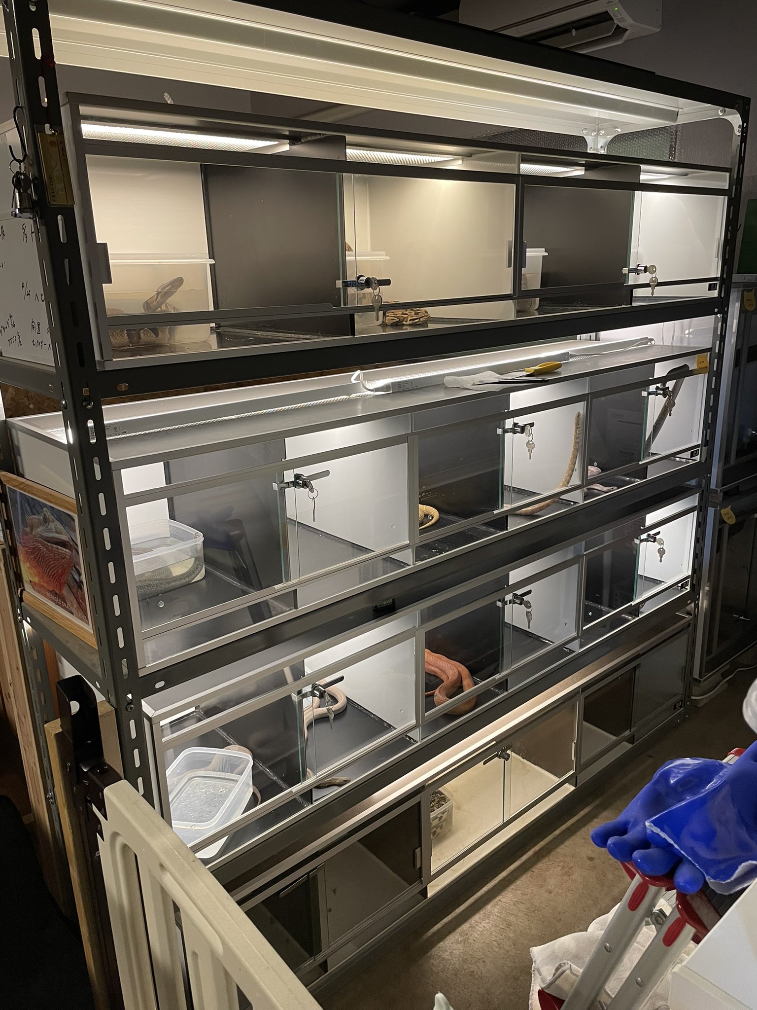 爬虫類ケージ 龍匠オーダーメイド品 幅900奥行き600高さ900