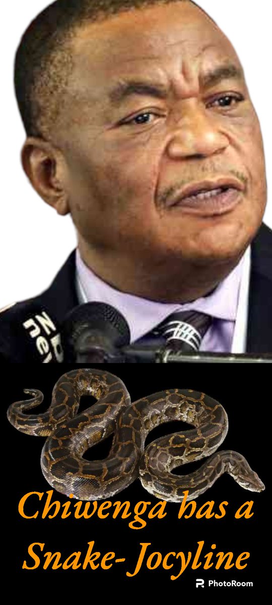 ShepherdYuda4's tweet photo. Chiwenga's wife claims that the Rtd. General has a snake which licks him during the night and keeps him awake. He sometimes sleeps in a casket to avoid it. This is the reason why Chiwenga naps always in the daytime. https://t.co/YC0uw7nSYu