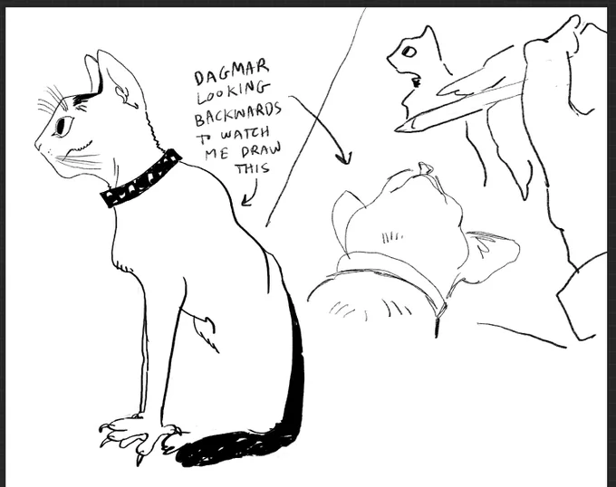 my regent kitty Dagmar who will fight for me in the summer bug wars