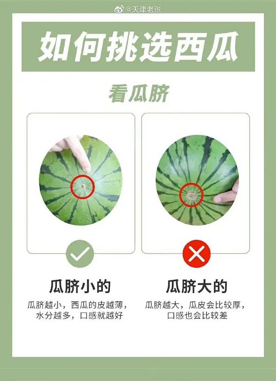 douban_one's tweet photo. 如何挑选西瓜

https://t.co/0JbsREo76t https://t.co/4HXXvNNq8x