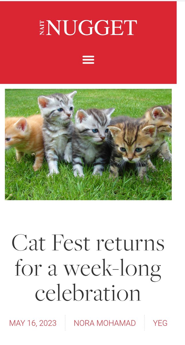 Cat Fest returns for a week-long celebration! @YEGCatFest @lindork #yeg thenuggetonline.com/cat-fest-retur…