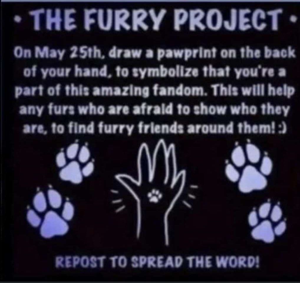 ArsonRacc's tweet photo. Attention all furries!!
#furry #furryproject https://t.co/iv3bjyQOWW