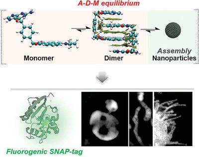 AggregateOA's tweet image. New Research Article🔬
"Modulation of dynamic aggregation in #fluorogenic SNAP-tag probes for long-term super-resolution imaging" by Zhaochao Xu et al. @UCAS1978 @WileyPolymers #SNAPtag #dimer #super_resolution_imaging

Check👉doi.org/10.1002/agt2.2…
